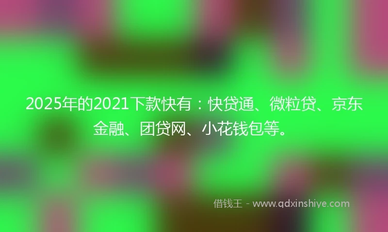 2025年的2021下款快有：快贷通、微粒贷、京东金融、团贷网、小花钱包等。