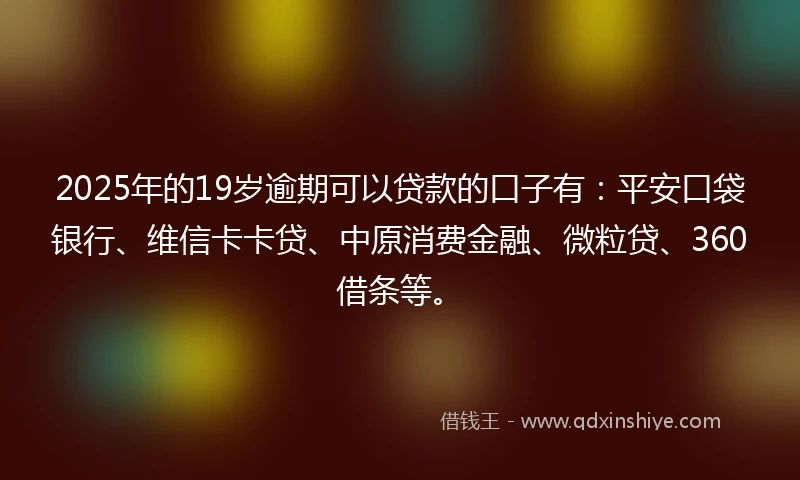 2025年的19岁逾期可以贷款的口子有：平安口袋银行、维信卡卡贷、中原消费金融、微粒贷、360借条等。