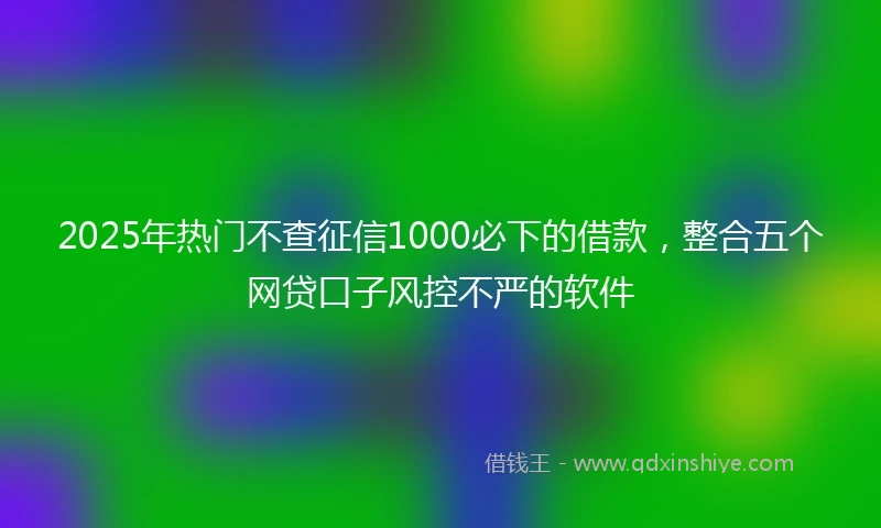 2025年热门不查征信1000必下的借款，整合五个网贷口子风控不严的软件