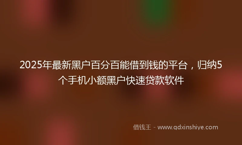 2025年最新黑户百分百能借到钱的平台，归纳5个手机小额黑户快速贷款软件