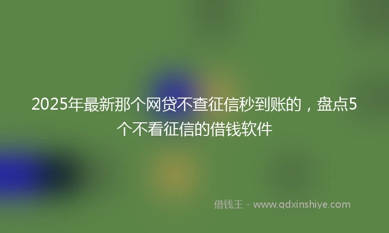 2025年最新那个网贷不查征信秒到账的，盘点5个不看征信的借钱软件