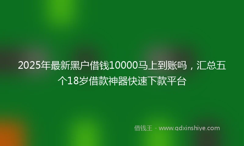 2025年最新黑户借钱10000马上到账吗，汇总五个18岁借款神器快速下款平台