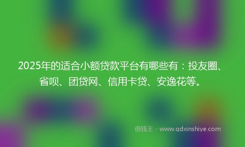 2025年的适合小额贷款平台有哪些有：投友圈、省呗、团贷网、信用卡贷、安逸花等。