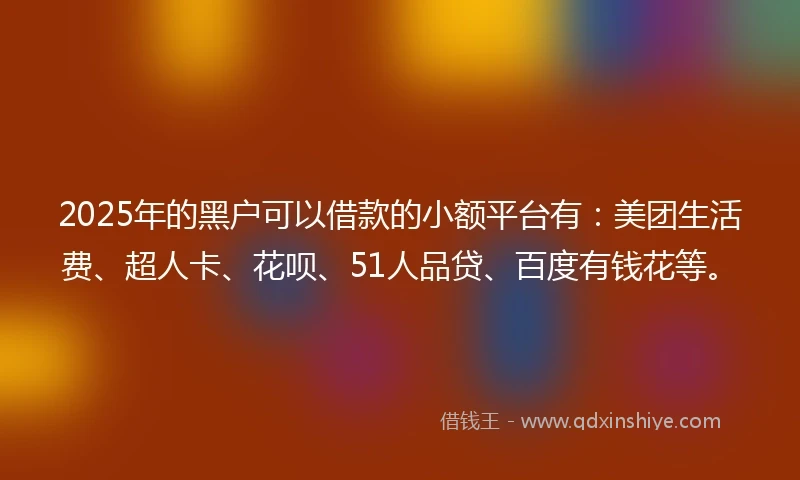 2025年的黑户可以借款的小额平台有：美团生活费、超人卡、花呗、51人品贷、百度有钱花等。