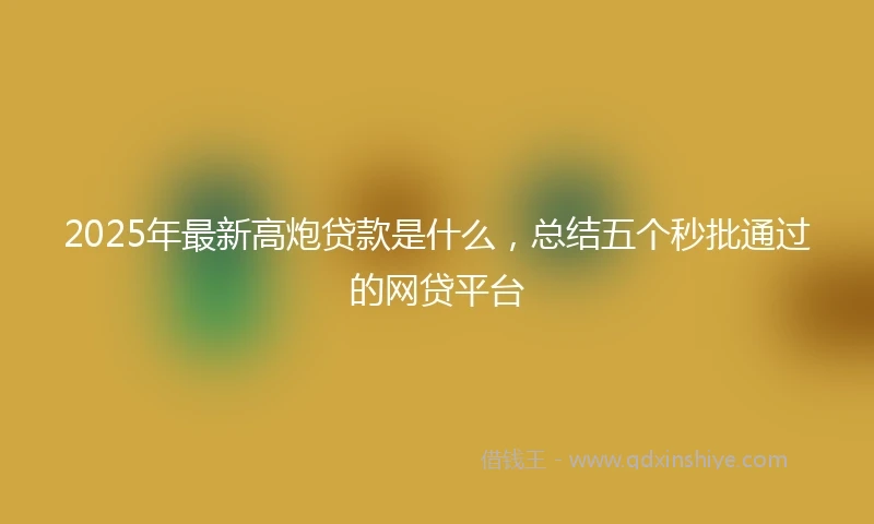 2025年最新高炮贷款是什么，总结五个秒批通过的网贷平台