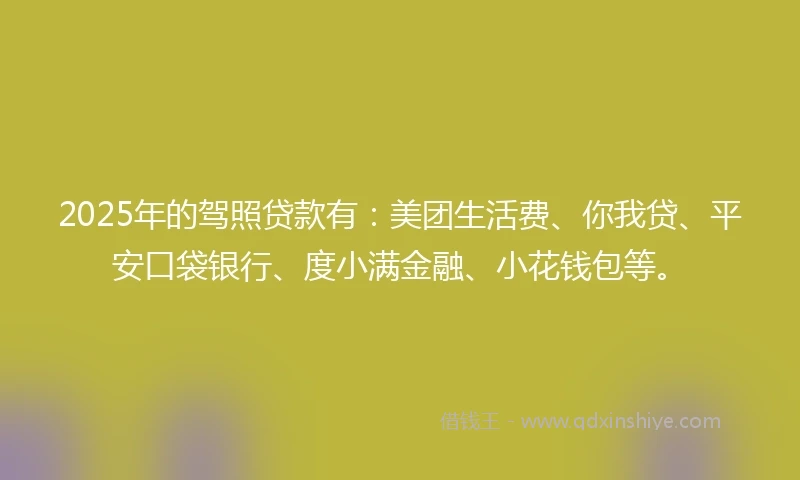 2025年的驾照贷款有：美团生活费、你我贷、平安口袋银行、度小满金融、小花钱包等。