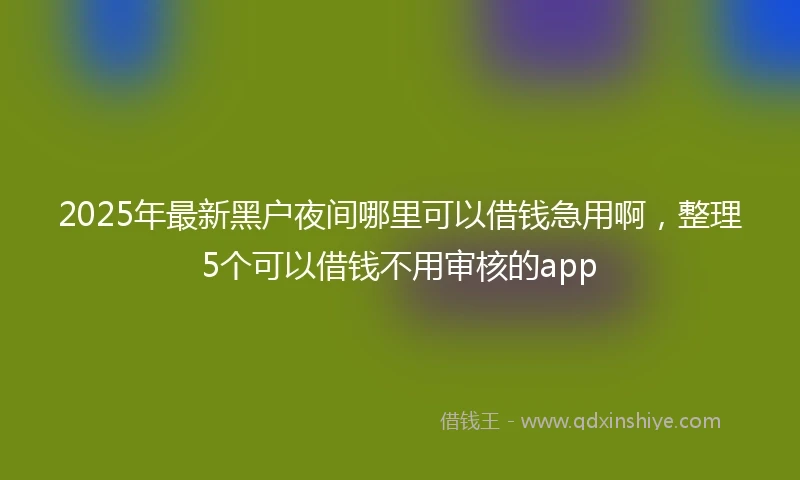 2025年最新黑户夜间哪里可以借钱急用啊，整理5个可以借钱不用审核的app