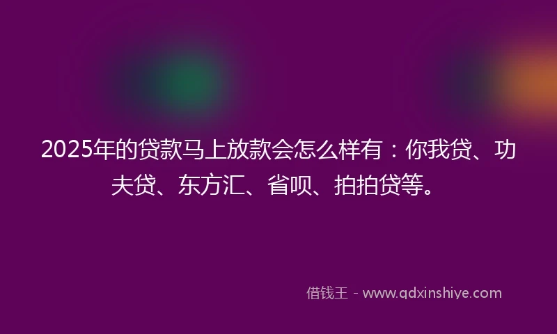2025年的贷款马上放款会怎么样有：你我贷、功夫贷、东方汇、省呗、拍拍贷等。