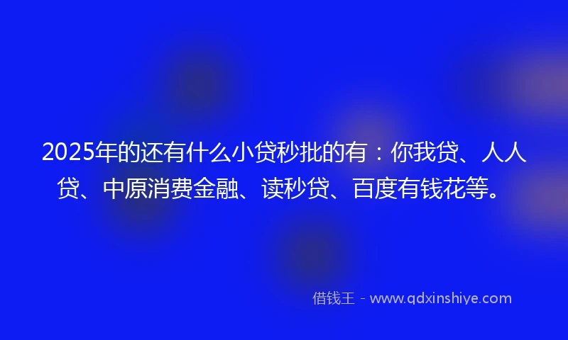 2025年的还有什么小贷秒批的有：你我贷、人人贷、中原消费金融、读秒贷、百度有钱花等。