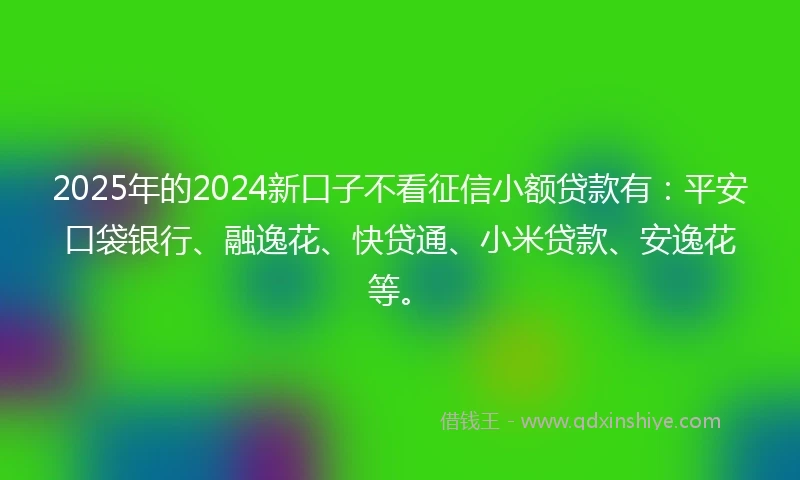 2025年的2024新口子不看征信小额贷款有：平安口袋银行、融逸花、快贷通、小米贷款、安逸花等。