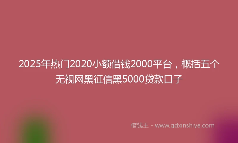 2025年热门2020小额借钱2000平台，概括五个无视网黑征信黑5000贷款口子