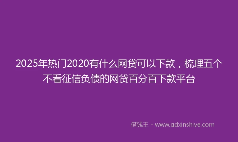 2025年热门2020有什么网贷可以下款，梳理五个不看征信负债的网贷百分百下款平台