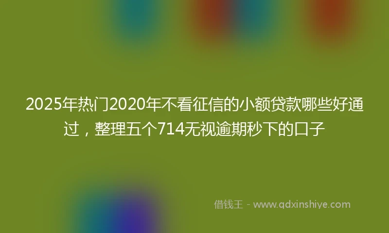 2025年热门2020年不看征信的小额贷款哪些好通过，整理五个714无视逾期秒下的口子