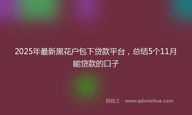 2025年最新黑花户包下贷款平台，总结5个11月能贷款的口子