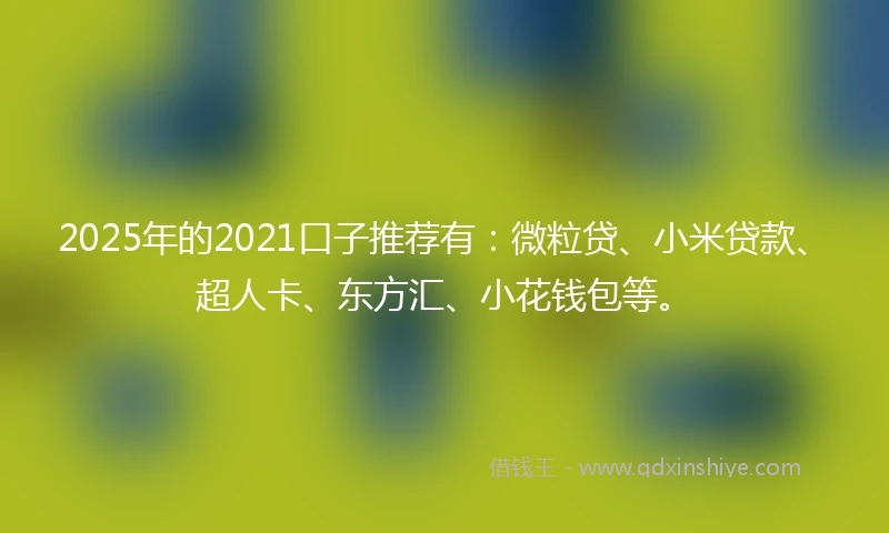 2025年的2021口子推荐有：微粒贷、小米贷款、超人卡、东方汇、小花钱包等。