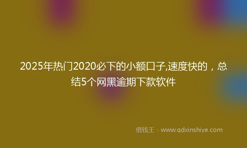 2025年热门2020必下的小额口子,速度快的，总结5个网黑逾期下款软件