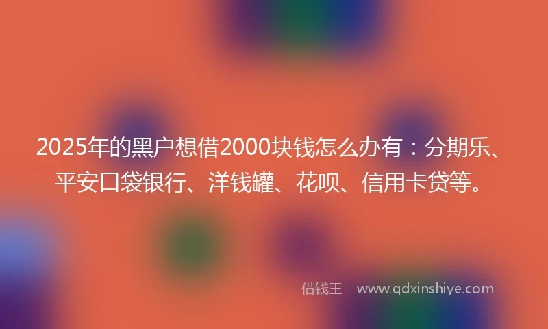 2025年的黑户想借2000块钱怎么办有：分期乐、平安口袋银行、洋钱罐、花呗、信用卡贷等。
