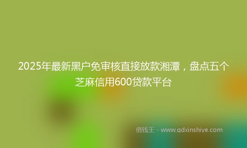 2025年最新黑户免审核直接放款湘潭，盘点五个芝麻信用600贷款平台