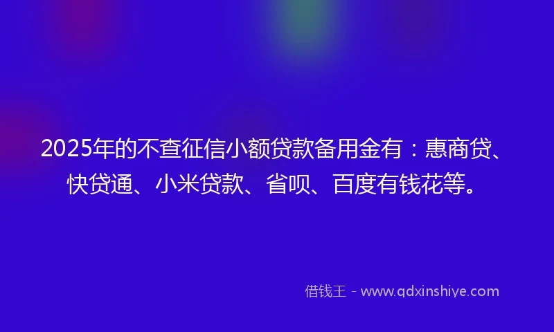 2025年的不查征信小额贷款备用金有：惠商贷、快贷通、小米贷款、省呗、百度有钱花等。