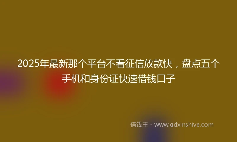 2025年最新那个平台不看征信放款快，盘点五个手机和身份证快速借钱口子