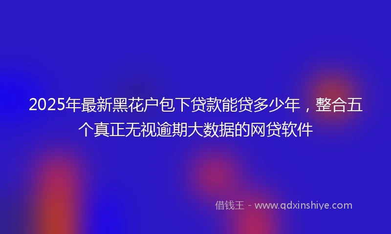 2025年最新黑花户包下贷款能贷多少年，整合五个真正无视逾期大数据的网贷软件