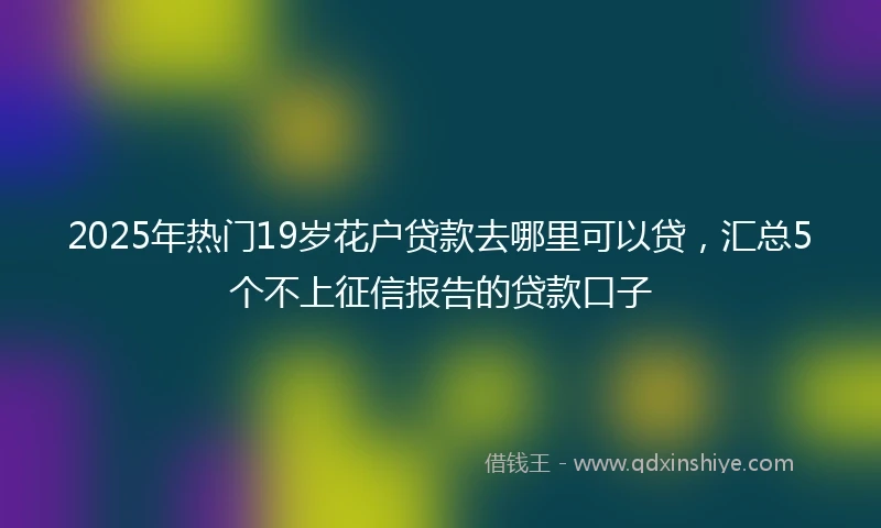 2025年热门19岁花户贷款去哪里可以贷，汇总5个不上征信报告的贷款口子