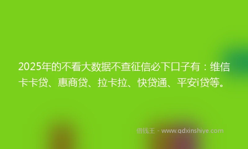 2025年的不看大数据不查征信必下口子有：维信卡卡贷、惠商贷、拉卡拉、快贷通、平安i贷等。
