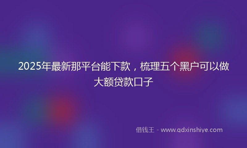 2025年最新那平台能下款，梳理五个黑户可以做大额贷款口子