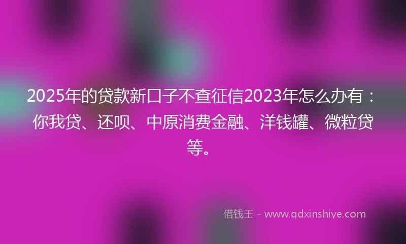 2025年的贷款新口子不查征信2023年怎么办有：你我贷、还呗、中原消费金融、洋钱罐、微粒贷等。