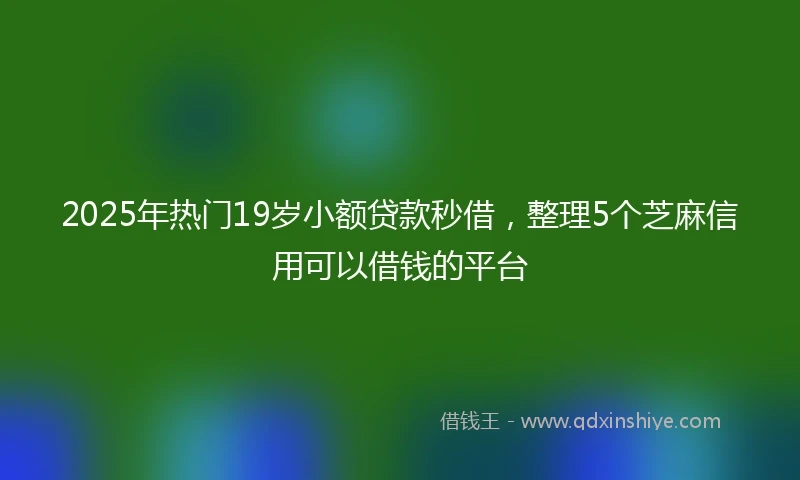 2025年热门19岁小额贷款秒借，整理5个芝麻信用可以借钱的平台