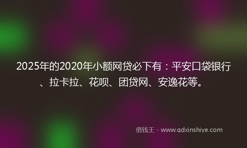 2025年的2020年小额网贷必下有：平安口袋银行、拉卡拉、花呗、团贷网、安逸花等。