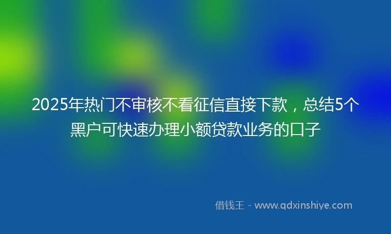 2025年热门不审核不看征信直接下款，总结5个黑户可快速办理小额贷款业务的口子