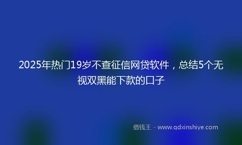 2025年热门19岁不查征信网贷软件，总结5个无视双黑能下款的口子