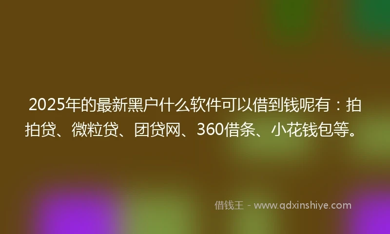 2025年的最新黑户什么软件可以借到钱呢有：拍拍贷、微粒贷、团贷网、360借条、小花钱包等。