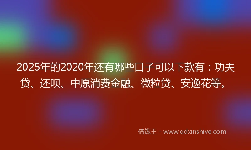 2025年的2020年还有哪些口子可以下款有：功夫贷、还呗、中原消费金融、微粒贷、安逸花等。