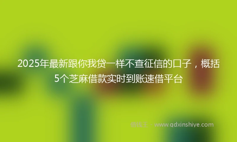 2025年最新跟你我贷一样不查征信的口子，概括5个芝麻借款实时到账速借平台