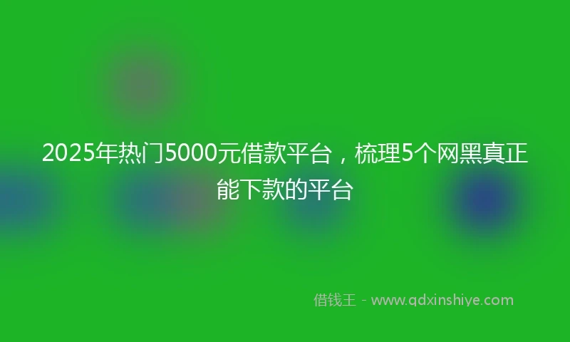 2025年热门5000元借款平台，梳理5个网黑真正能下款的平台