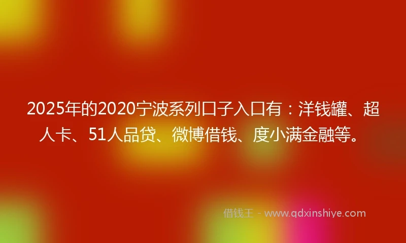 2025年的2020宁波系列口子入口有：洋钱罐、超人卡、51人品贷、微博借钱、度小满金融等。