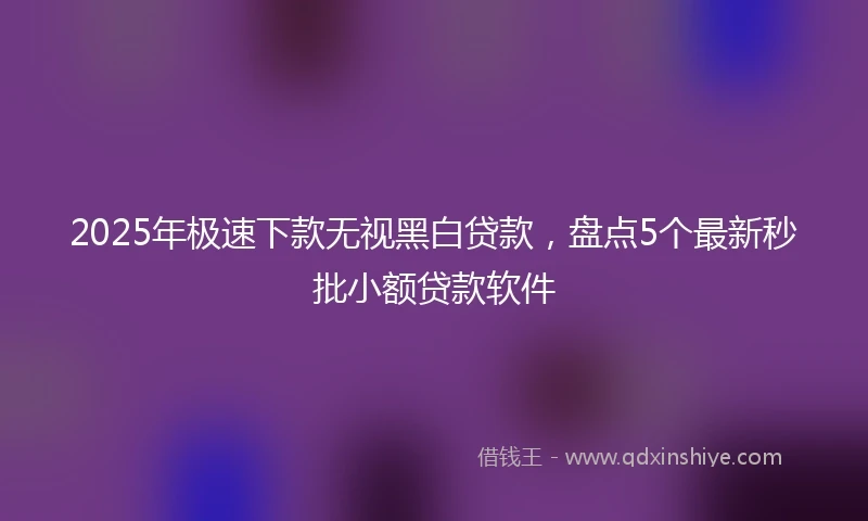 2025年极速下款无视黑白贷款，盘点5个最新秒批小额贷款软件