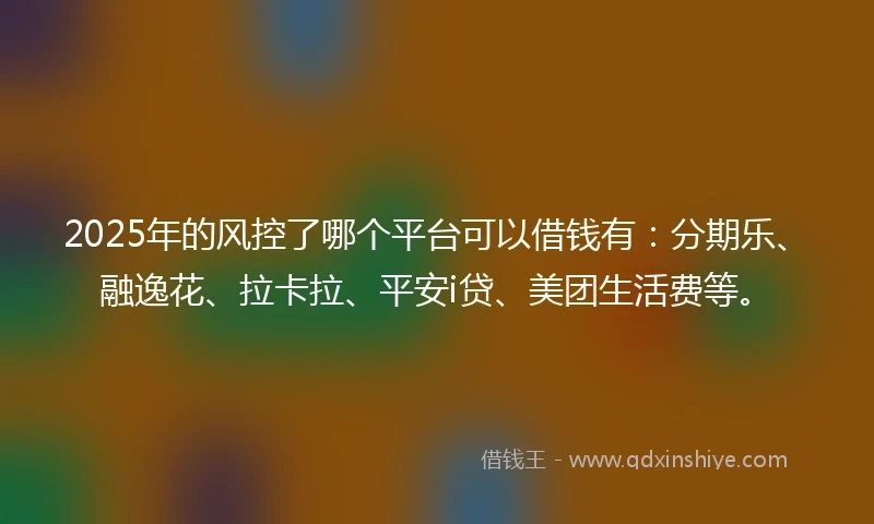 2025年的风控了哪个平台可以借钱有：分期乐、融逸花、拉卡拉、平安i贷、美团生活费等。