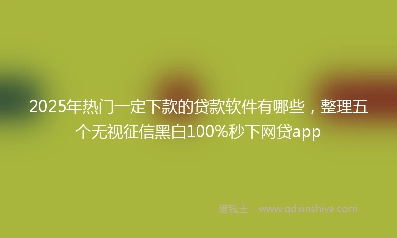 2025年热门一定下款的贷款软件有哪些，整理五个无视征信黑白100%秒下网贷app