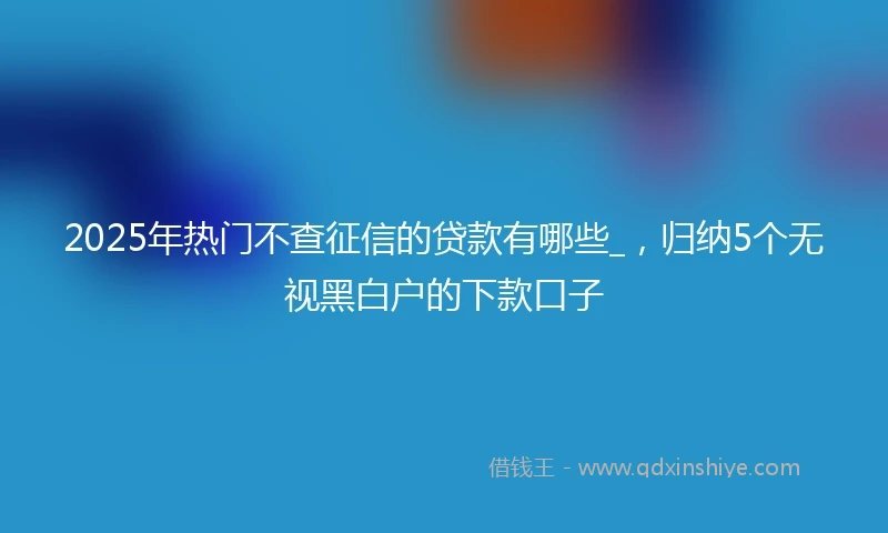 2025年热门不查征信的贷款有哪些_，归纳5个无视黑白户的下款口子