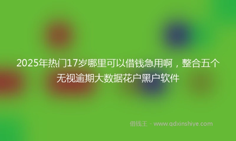 2025年热门17岁哪里可以借钱急用啊，整合五个无视逾期大数据花户黑户软件