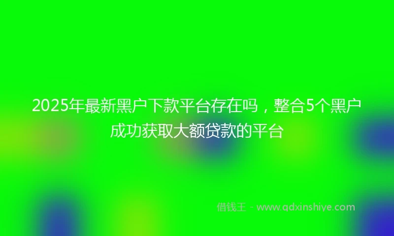 2025年最新黑户下款平台存在吗，整合5个黑户成功获取大额贷款的平台