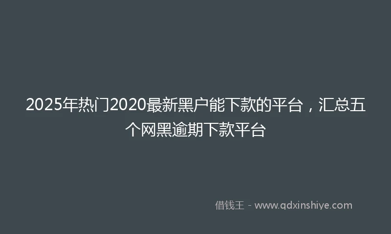 2025年热门2020最新黑户能下款的平台，汇总五个网黑逾期下款平台