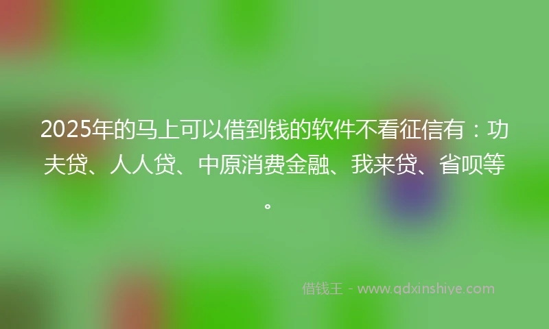2025年的马上可以借到钱的软件不看征信有：功夫贷、人人贷、中原消费金融、我来贷、省呗等。