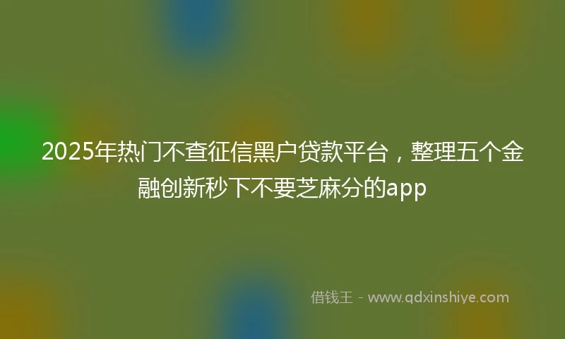 2025年热门不查征信黑户贷款平台，整理五个金融创新秒下不要芝麻分的app
