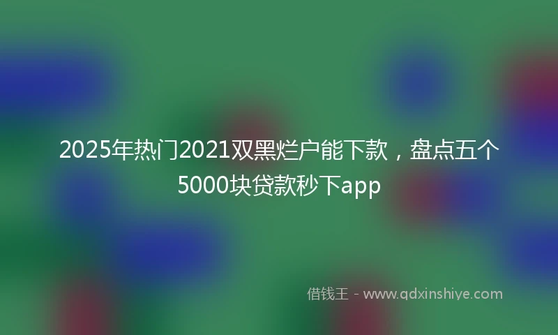 2025年热门2021双黑烂户能下款，盘点五个5000块贷款秒下app