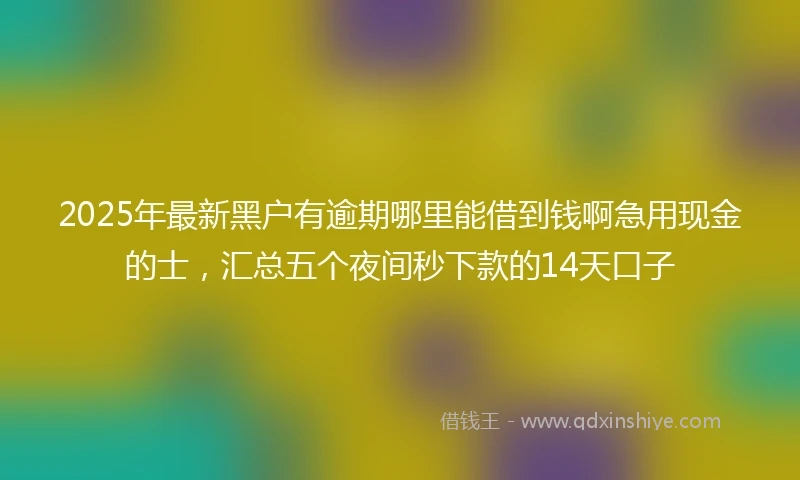 2025年最新黑户有逾期哪里能借到钱啊急用现金的士，汇总五个夜间秒下款的14天口子