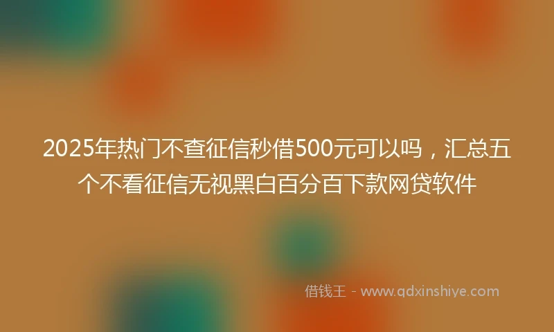 2025年热门不查征信秒借500元可以吗，汇总五个不看征信无视黑白百分百下款网贷软件
